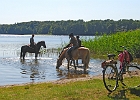 Reiter am Dobbertiner See : See, Reiter, Pferde, Fahrrad